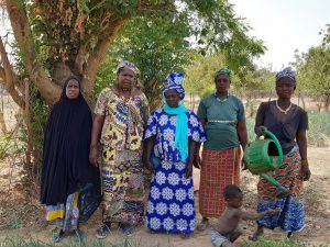Mehr über den Artikel erfahren Frauenprojekt Gambia